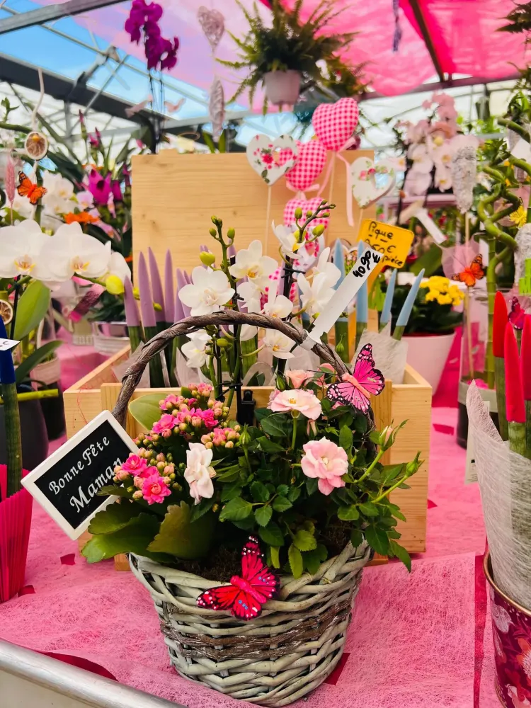 Pour la fête des mamans : célébrez la fête des mères avec des bouquets et des plantes personnalisées uniques